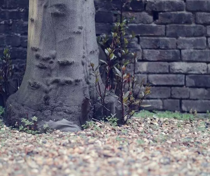 Camden Road Apartments