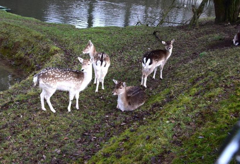 Besotel Mettmann Schicke Fewo Oder Apartments Nähe Golfplatz Gruiten Und Neandertal Mit Glasfaser Wl