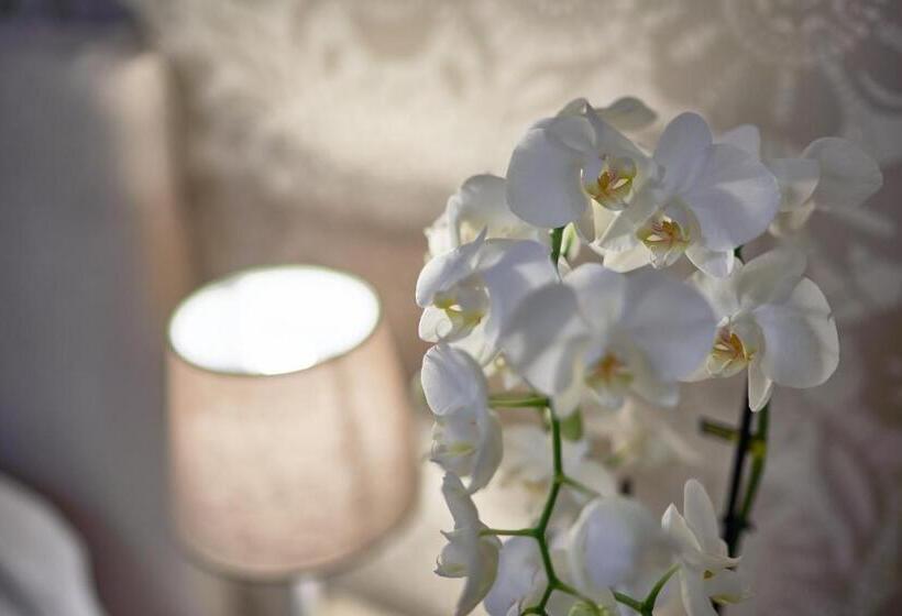 Отель Clodia   Adults Only