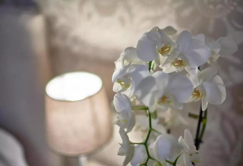 ホテル Clodia Adults Only