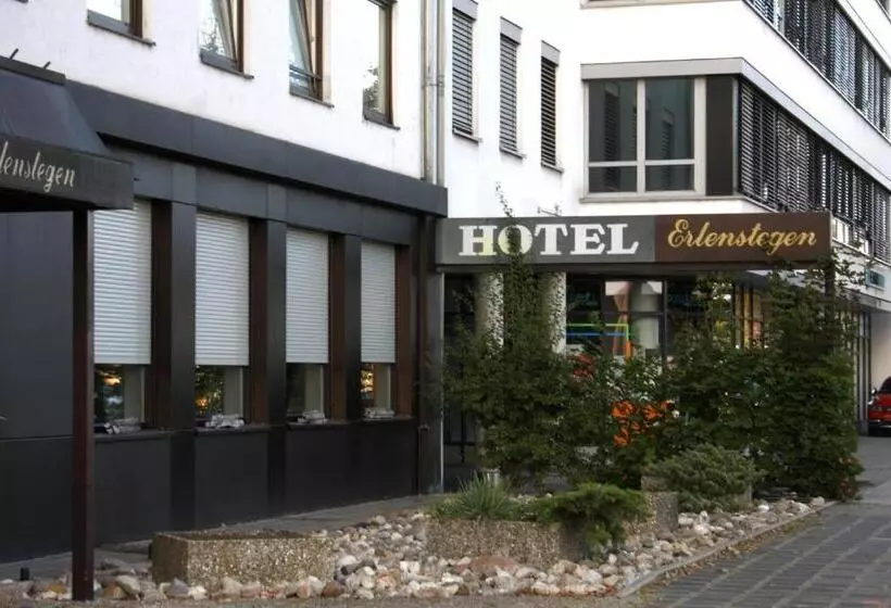 Hotel Erlenstegen