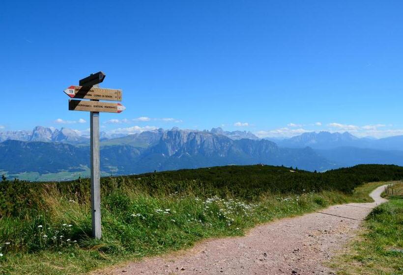 酒店 Lengsteinerhof