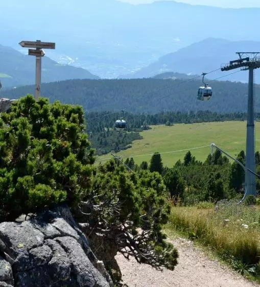 ホテル Lengsteinerhof