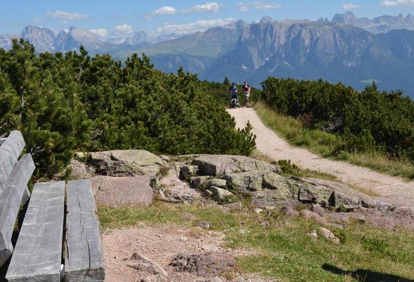 酒店 Lengsteinerhof