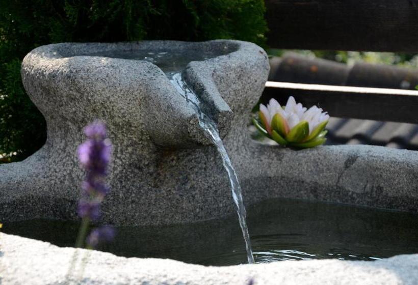 酒店 Lengsteinerhof