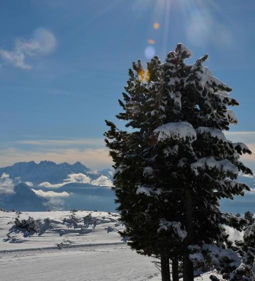 酒店 Lengsteinerhof