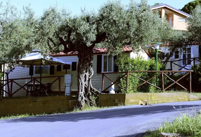 Ihr Europe Garden Village