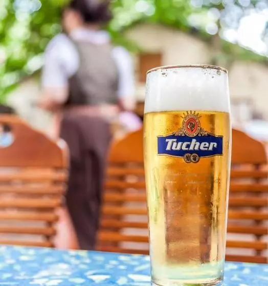 Pension Blödel Gasthof Grüner Baum