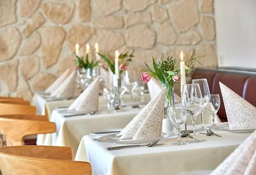 Aktiv Sporthotel Sächsische Schweiz