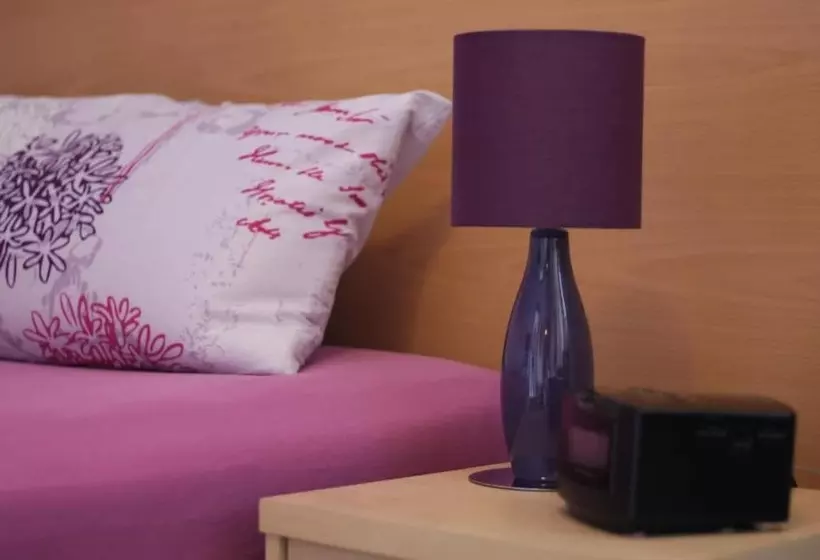 ベッドアンドブレックファースト Pension Blumen Villa