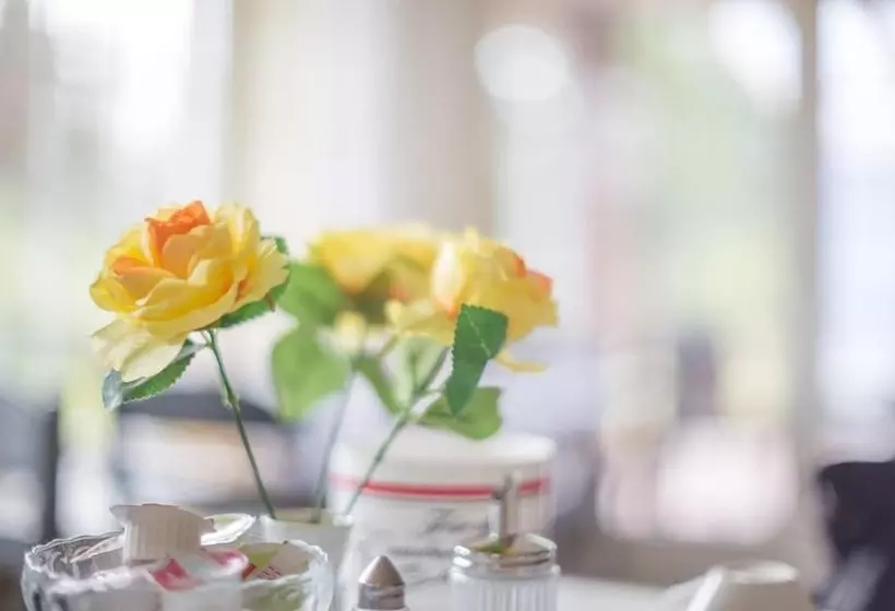 ベッドアンドブレックファースト Pension Blumen Villa