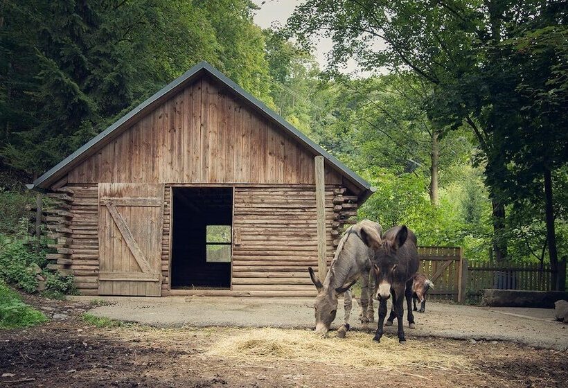 Flair Hotel Mellestollen