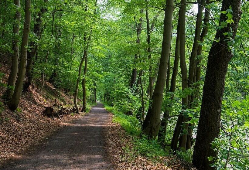 Flair Hotel Mellestollen