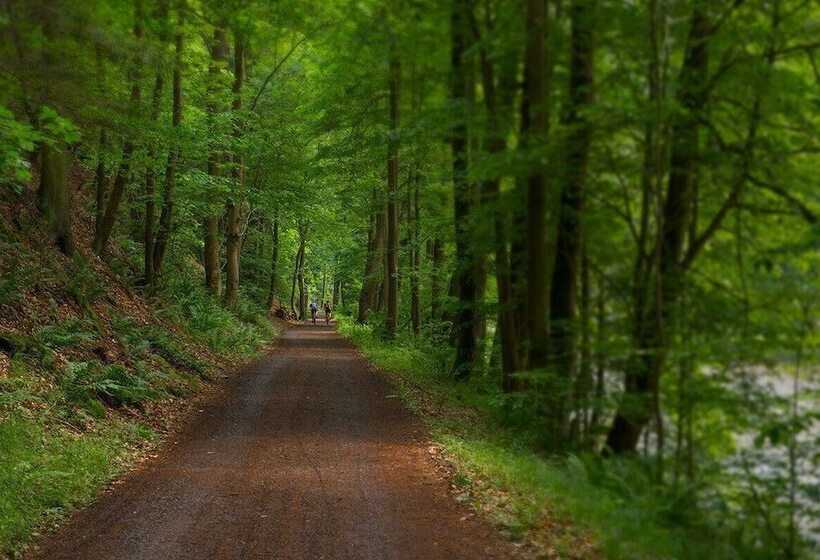 Flair Hotel Mellestollen