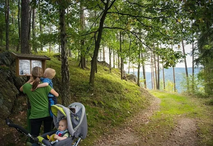 Flair Hotel Mellestollen