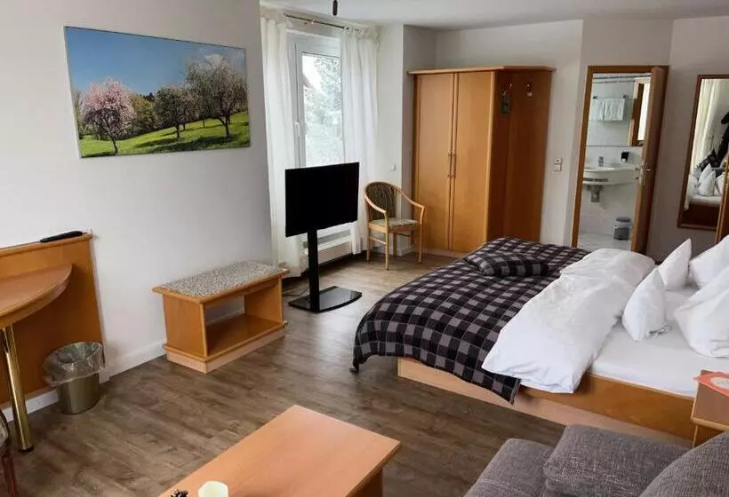 Отель Engelberg 24h Check In