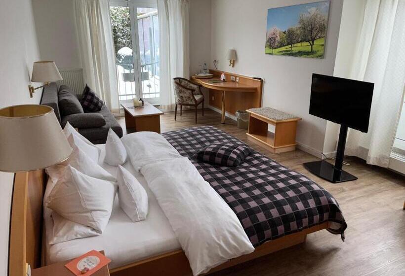 호텔 Engelberg 24h Check In