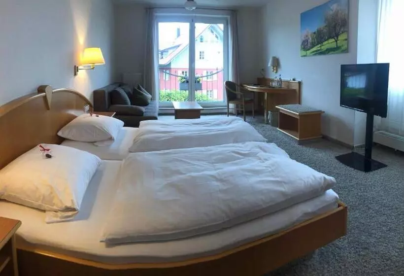 Отель Engelberg 24h Check In