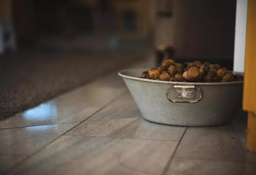 Отель Engelberg 24h Check In