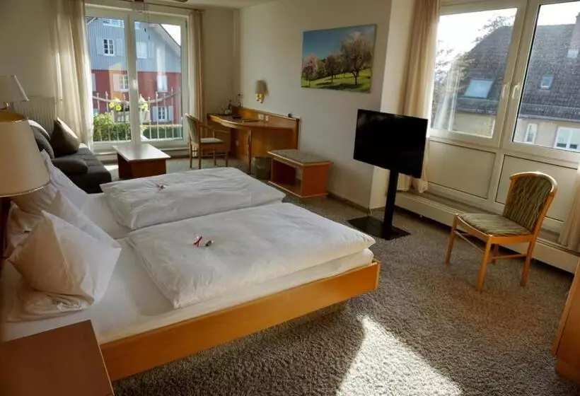 Отель Engelberg 24h Check In