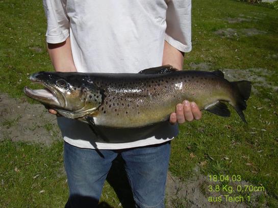 ホテル Forellenhof