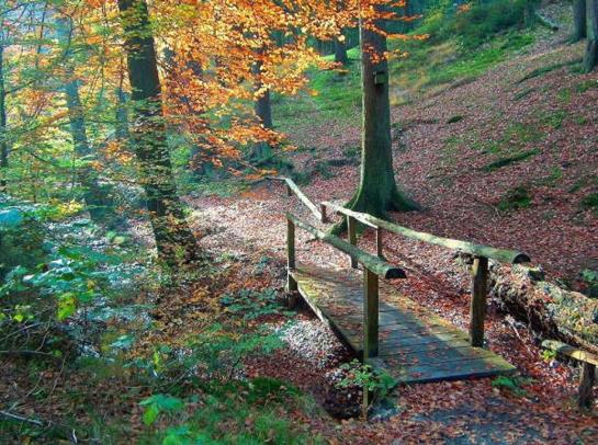 ホテル Forellenhof