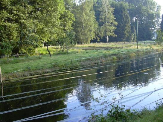 ホテル Forellenhof