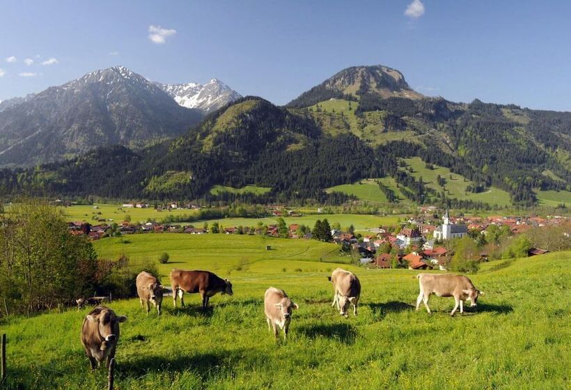 Hotel Garni Malerwinkl