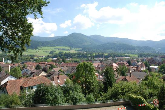 Bed and Breakfast Gasthaus-pension Waldhaus