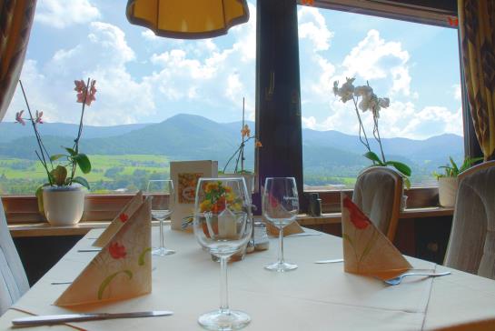 Bed and Breakfast Gasthaus-pension Waldhaus