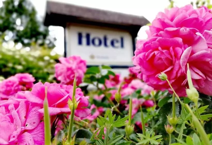 فندق & Gasthaus Zum Domkreuger