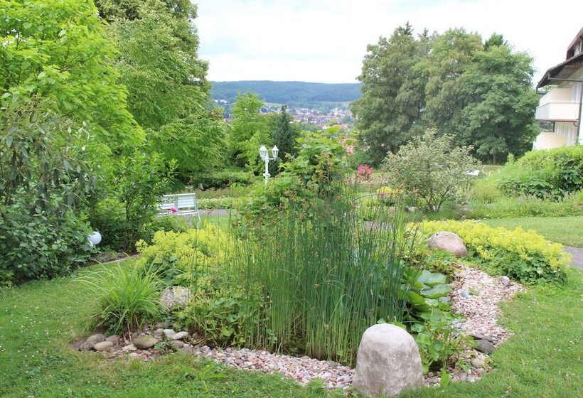 Отель Haus Am Steinberg