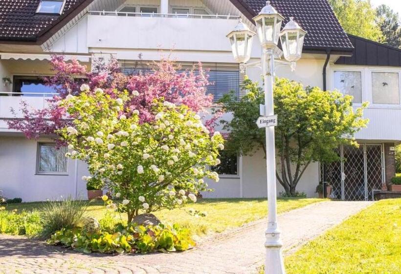 Отель Haus Am Steinberg