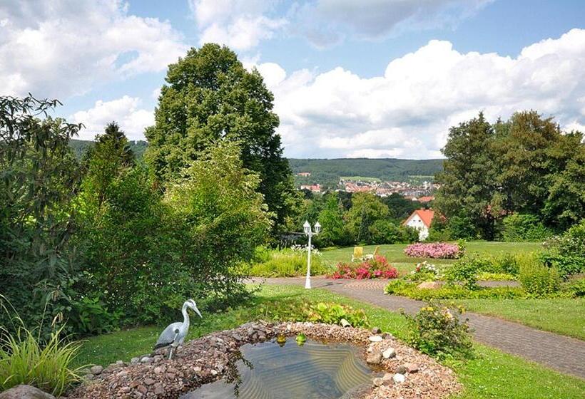 Отель Haus Am Steinberg