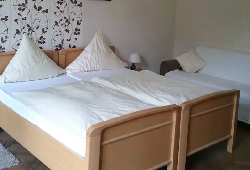 酒店 Haus Hohenzollern & Haus  Ambiente