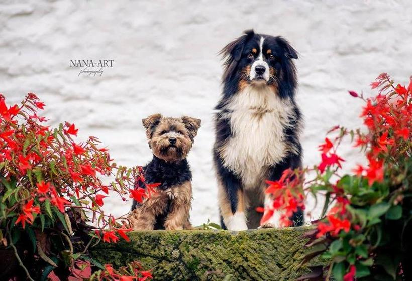 酒店 Restaurant Jägerhof