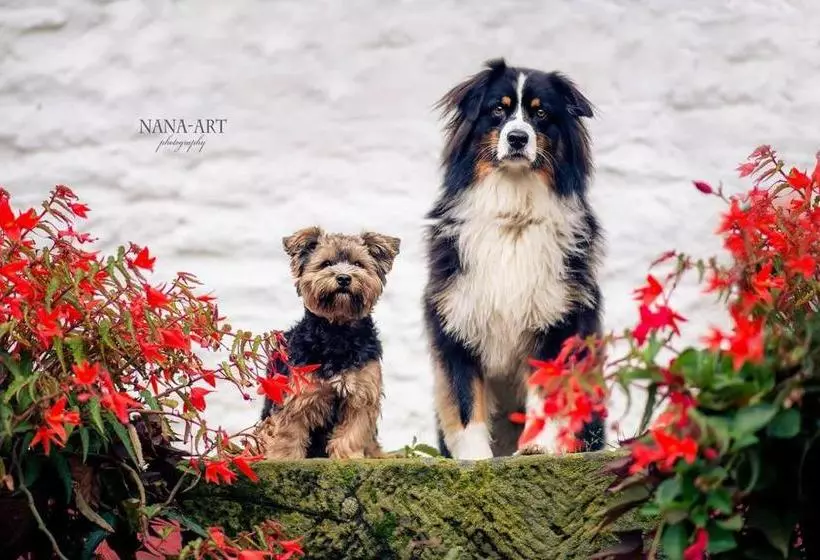 ホテル Restaurant Jägerhof