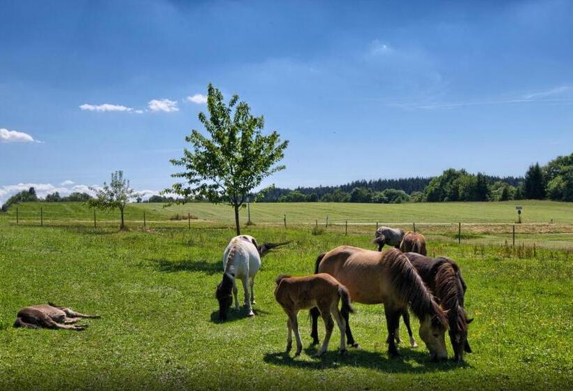 فندق Landgasthof Zum Schwanen