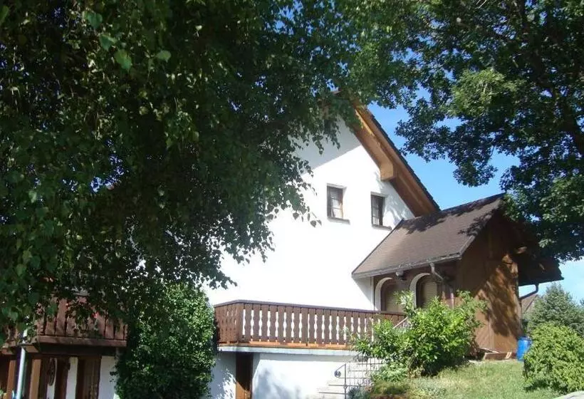 호텔 Mettenberger Hof Pension