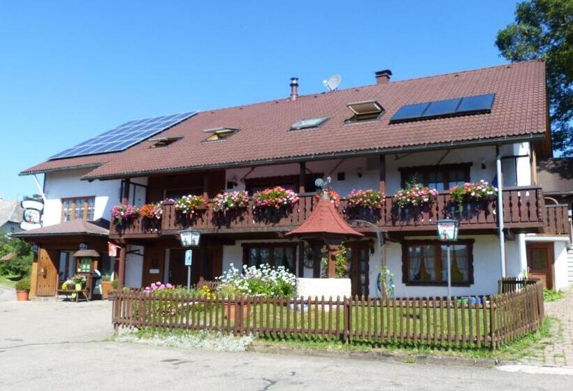 호텔 Mettenberger Hof   Pension