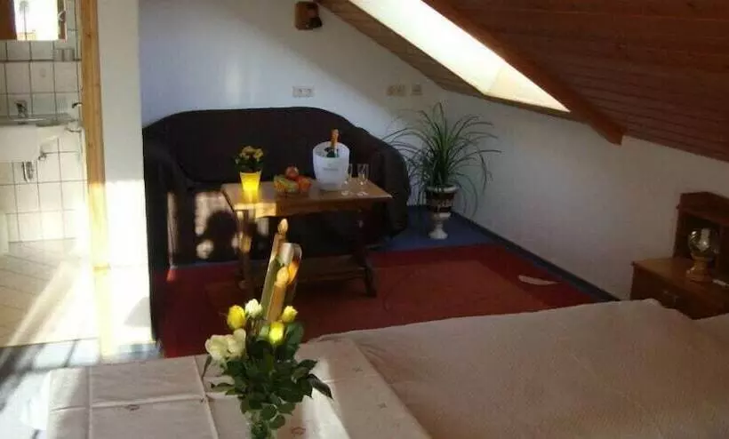 호텔 Mettenberger Hof Pension