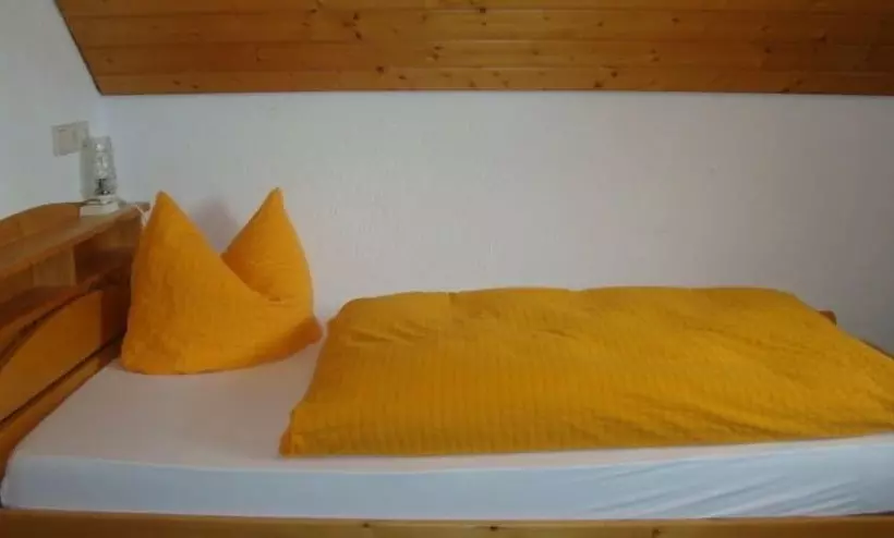 호텔 Mettenberger Hof Pension