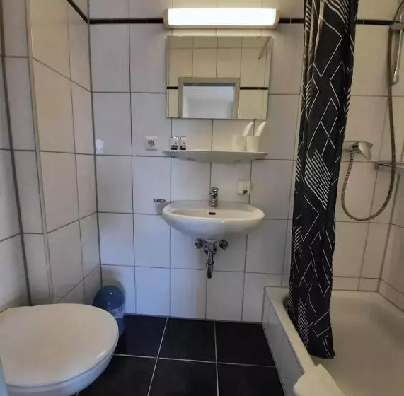 Traube Hotel öffingen