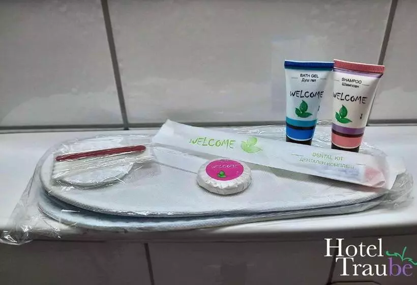 Traube Hotel öffingen