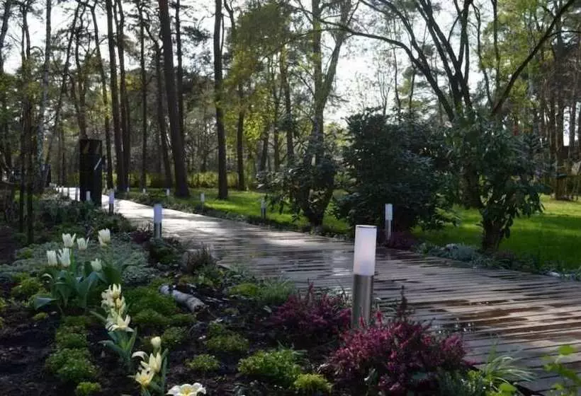 Отель Wolfschlucht