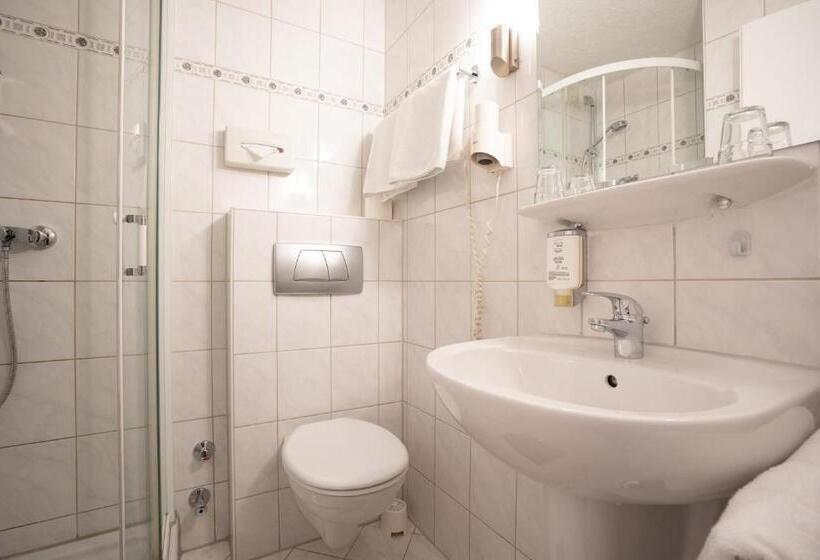 酒店 Zum Prinzen Sinsheim