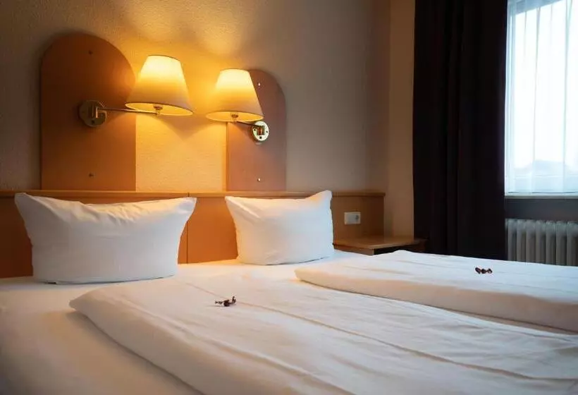 酒店 Zum Prinzen Sinsheim