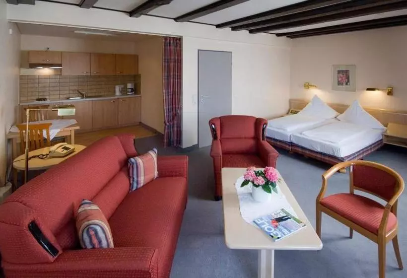 Отель Zur Mühle