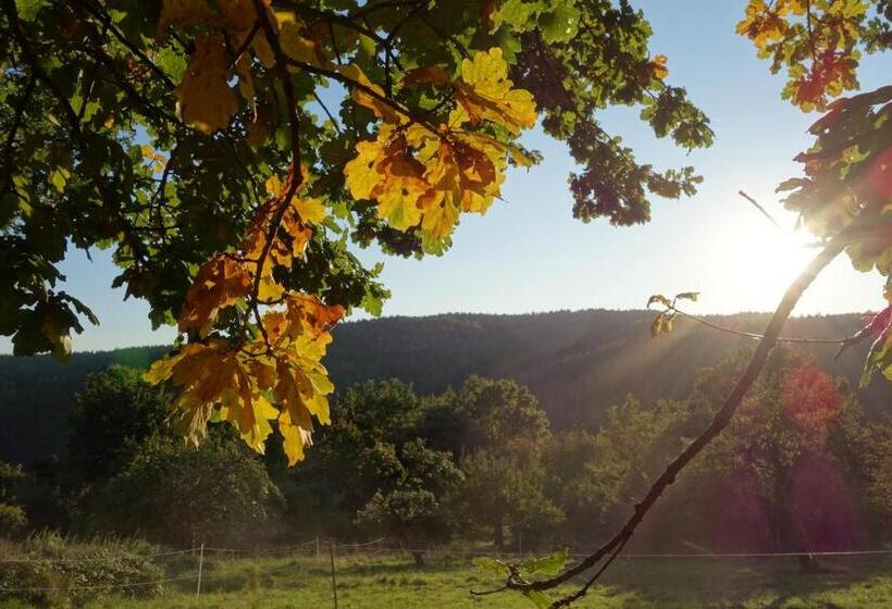 Naturhotel Rügers Forstgut