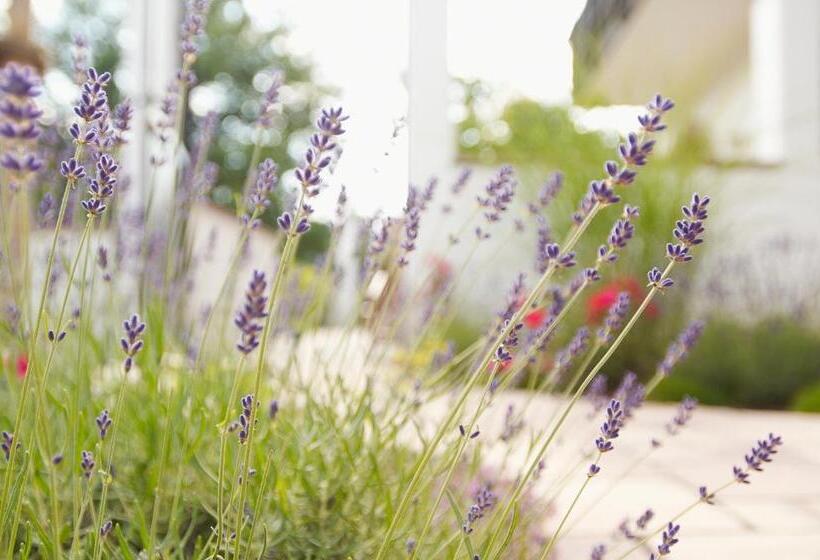 Naturhotel Rügers Forstgut